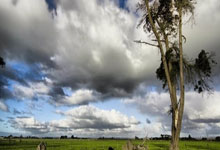 剑南春|国米-客胜亚特兰大,劳塔罗建功,双方各一人染红.