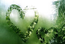 重新集结 辽宁男篮将与上海男篮进行热身赛.