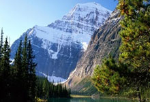 亿万28:欧冠-迪亚斯帽子戏法 利物浦主场大胜勒沃库森.