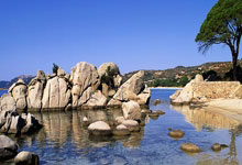 夸张!詹姆斯、东契奇和里夫斯本场创造了球队134分中的120分.